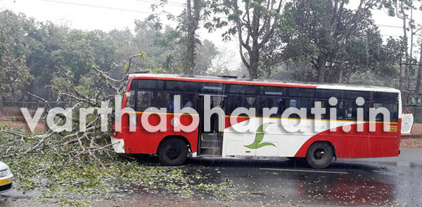 ಬೆಳ್ತಂಗಡಿ ತಾಲೂಕಿನಾದ್ಯಂತ ಮಳೆ; ಉಜಿರೆಯಲ್ಲಿ ಬಸ್ ಮೇಲೆ ಉರುಳಿದ ಮರ